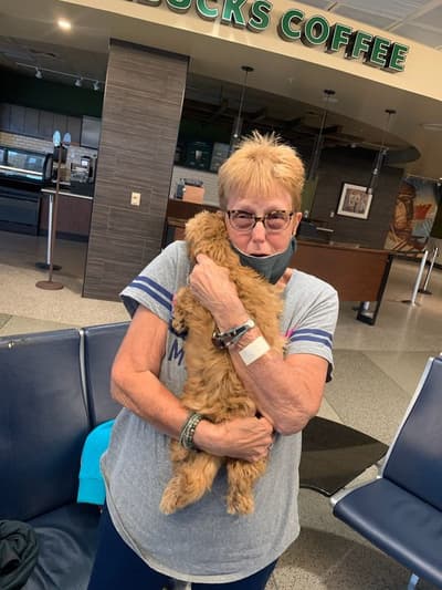 Tia, a Goldendoodle, Mini puppy from Pawrade