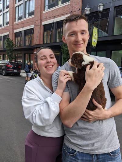 Topaz, a Miniature Australian Shepherd puppy from Pawrade