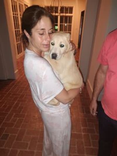 Jeremy, a Labrador Retriever puppy from Pawrade