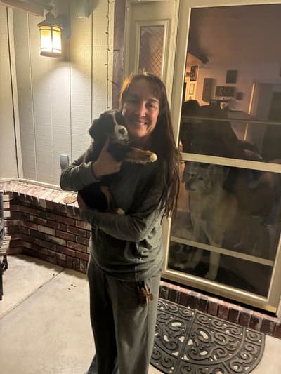 Isaiah, a Bernese Mountain Dog puppy from Pawrade