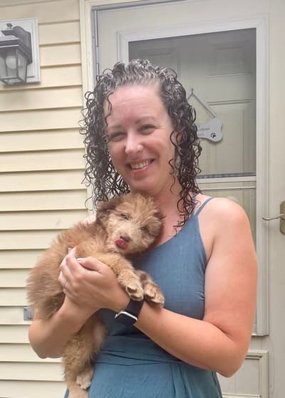 Valery, a Aussiedoodle puppy from Pawrade