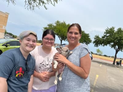 Leonard, a French Bulldog puppy from Pawrade