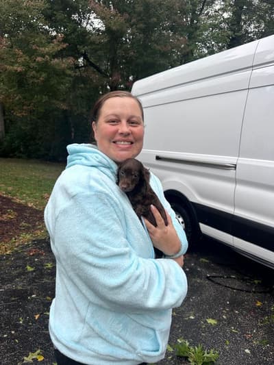 Everly, a Dachshund, Mini puppy from Pawrade