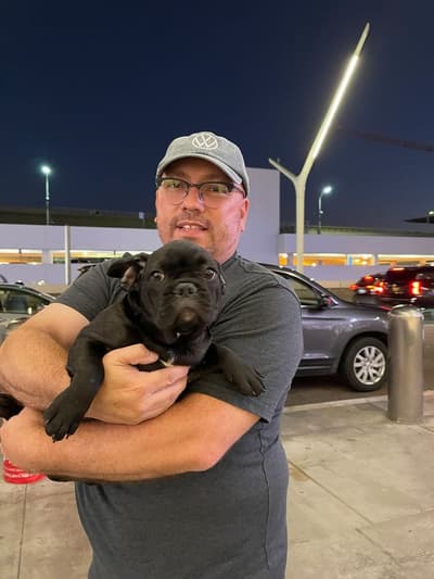 Atkinson, a French Bulldog puppy from Pawrade