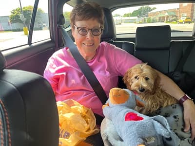 Dolly, a Cockapoo puppy from Pawrade