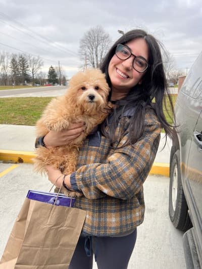 Austin, a Bich-Poo - Bichpoo puppy from Pawrade