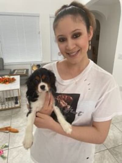 Layla, a Cavalier King Charles Spaniel puppy from Pawrade