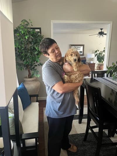 Prescott, a Goldendoodle, Mini puppy from Pawrade