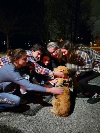 Dennis, a Golden Retriever puppy from Pawrade