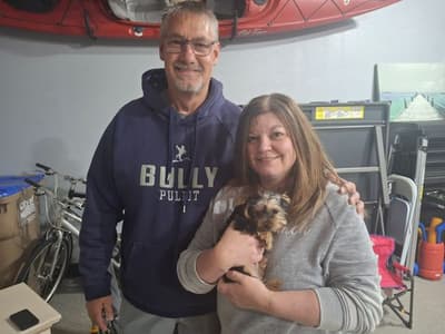 Toby, a Yorkshire Terrier - Yorkie puppy from Pawrade