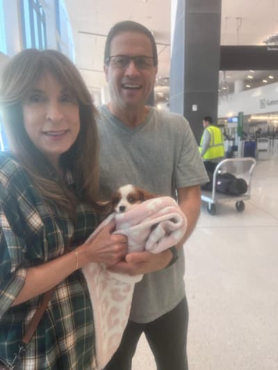 Moxie, a Cavalier King Charles Spaniel puppy from Pawrade