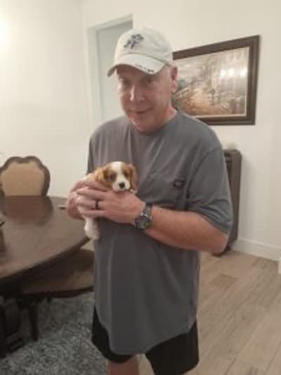 Miles, a Cavalier King Charles Spaniel puppy from Pawrade