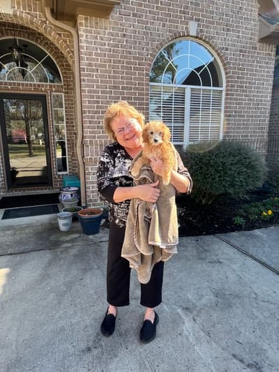 Amy, a Goldendoodle, Mini puppy from Pawrade