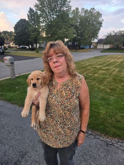 Coby, a Golden Retriever puppy from Pawrade