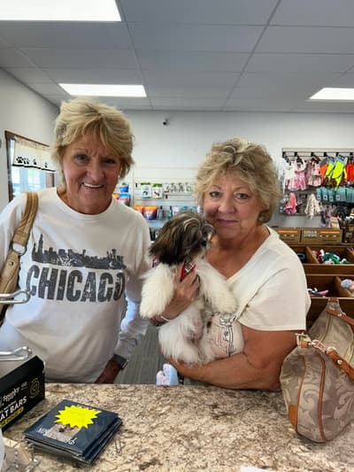 Jolene, a Shih Tzu puppy from Pawrade