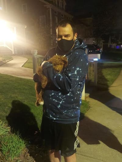 Murphy, a Goldendoodle puppy from Pawrade