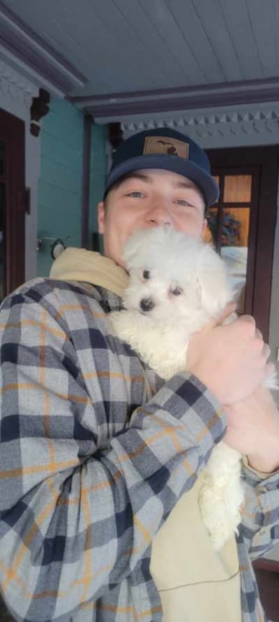 Nash, a Maltese puppy from Pawrade