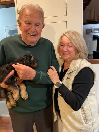 Lady, a Cavapoo puppy from Pawrade
