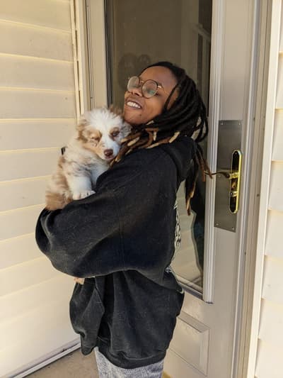 Scruf, a Australian Shepherd puppy from Pawrade
