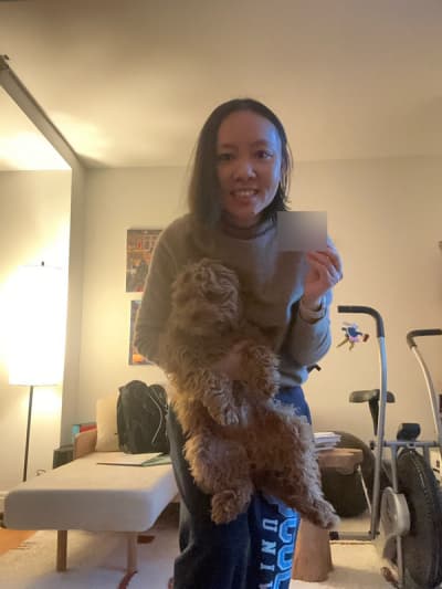 Johnson, a Cavapoo puppy from Pawrade