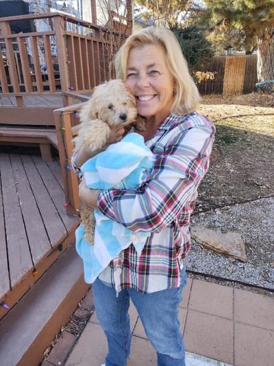 Bernadette, a Poodle, Toy puppy from Pawrade