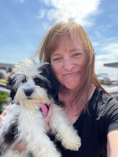 Ayesha, a Havanese puppy from Pawrade