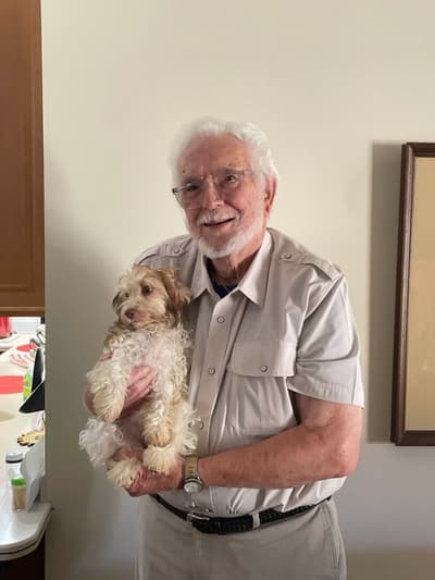 Buttercup, a Havanese puppy from Pawrade