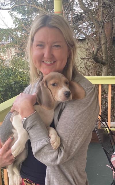 Darryl, a Beagle puppy from Pawrade