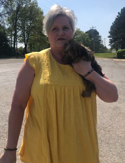 Emmett, a Yorkiepoo - Yorkie Poo puppy from Pawrade