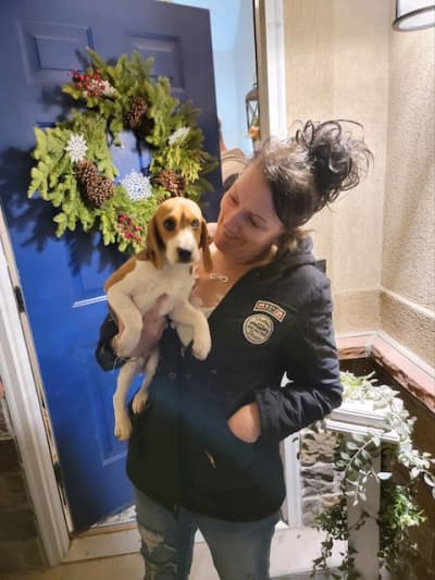 Opal, a Beagle puppy from Pawrade