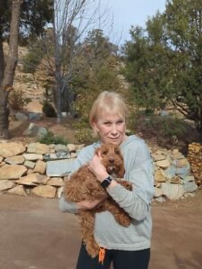 Bernie, a Cockapoo puppy from Pawrade
