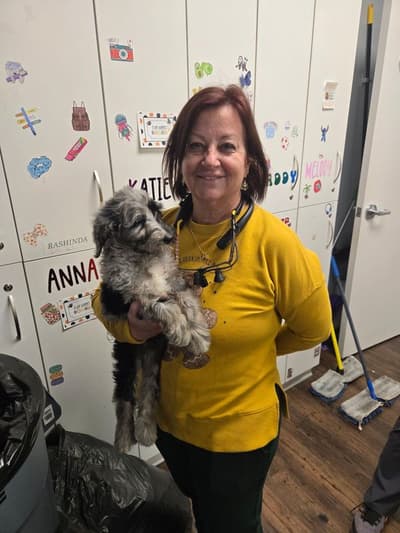 Mamie, a Sheepadoodle puppy from Pawrade