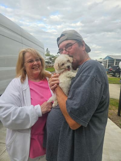 Marlena, a Bichon Frise puppy from Pawrade