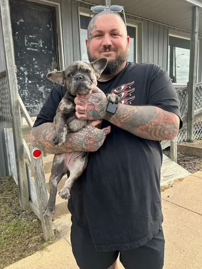 Dolce, a French Bulldog puppy from Pawrade