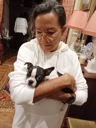 Penelope, a Boston Terrier puppy from Pawrade