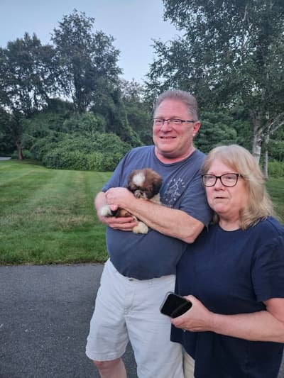 Sadie, a Shih Tzu puppy from Pawrade