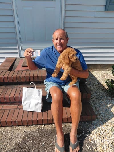 Diana, a Goldendoodle, Mini puppy from Pawrade