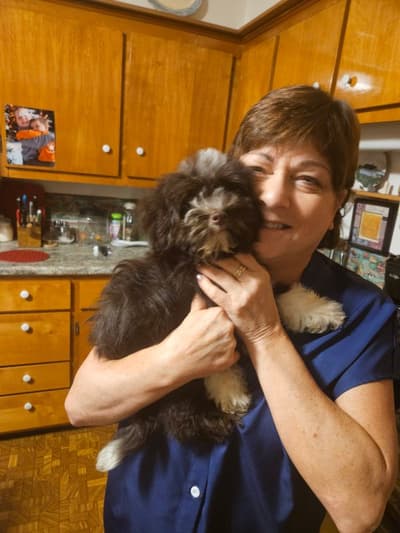 Ali, a Havanese puppy from Pawrade