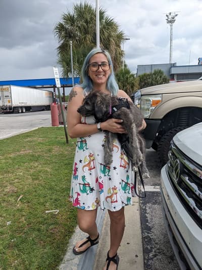 Shiloh, a Irish Wolfadoodle puppy from Pawrade