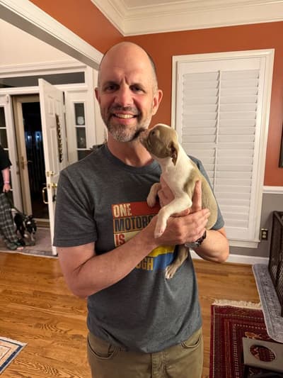 Tank, a Boston Terrier puppy from Pawrade