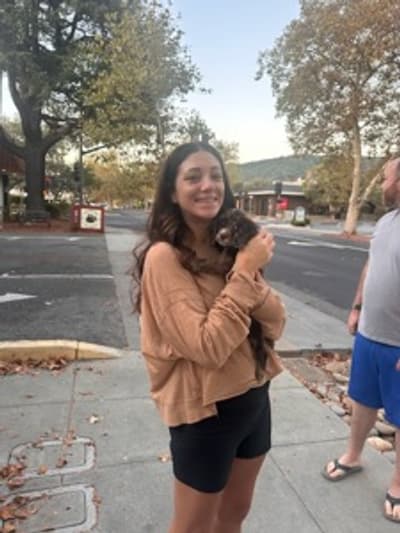 Avery, a Cocker Spaniel puppy from Pawrade