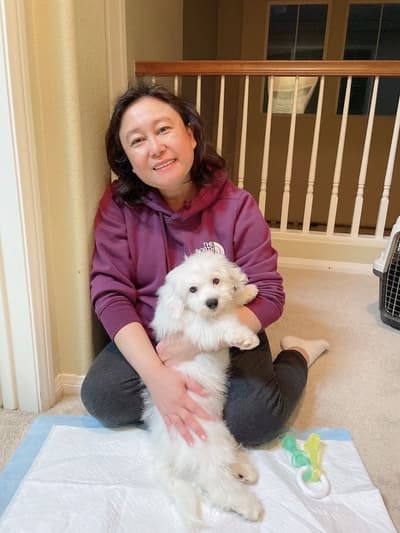 Blake, a Coton De Tulear puppy from Pawrade