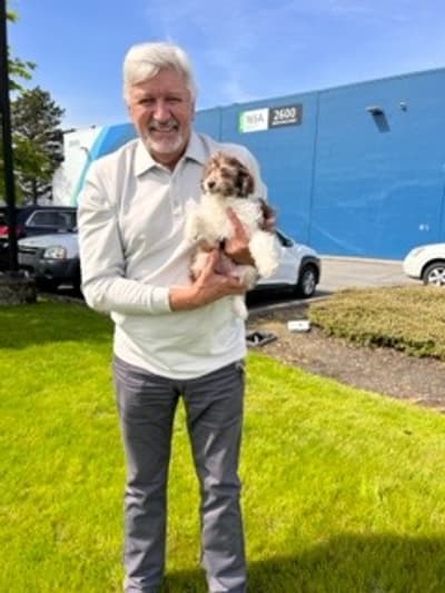 Maggie, a Aussiedoodle puppy from Pawrade
