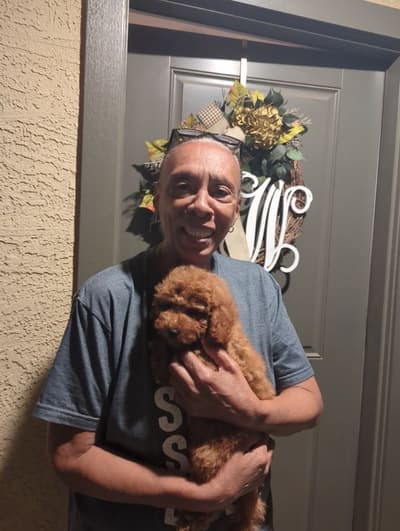 Neeko, a Cavapoo puppy from Pawrade