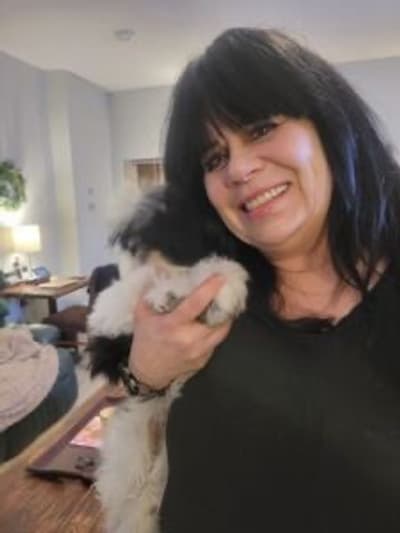 Jake, a Shih Tzu puppy from Pawrade