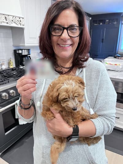 Nahla, a Yorkiepoo - Yorkie Poo puppy from Pawrade