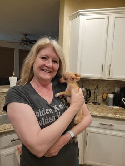 Carter, a Chihuahua puppy from Pawrade