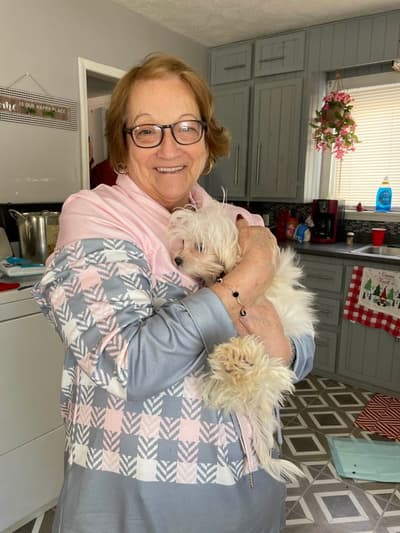 Puja, a Maltese puppy from Pawrade