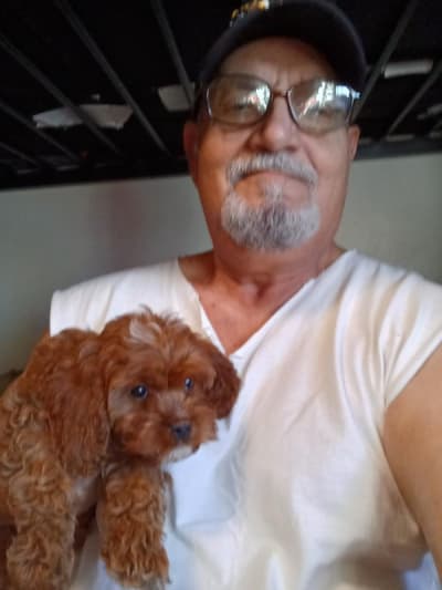 Dean, a Cavapoo puppy from Pawrade