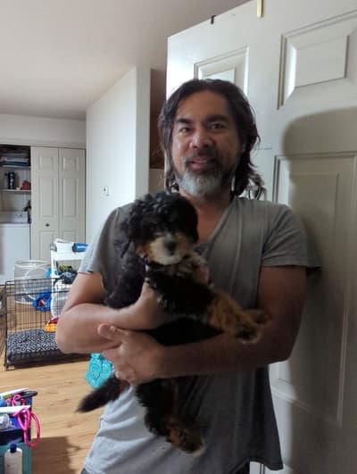 Venus, a Bernedoodle, Mini puppy from Pawrade